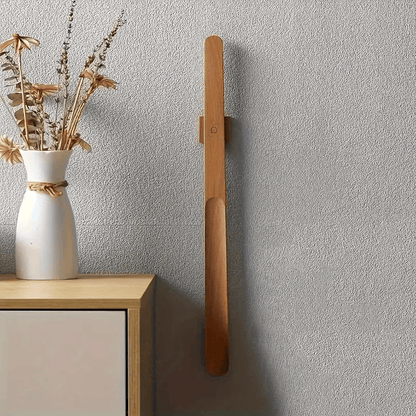 Elegant Magnetic Shoehorn